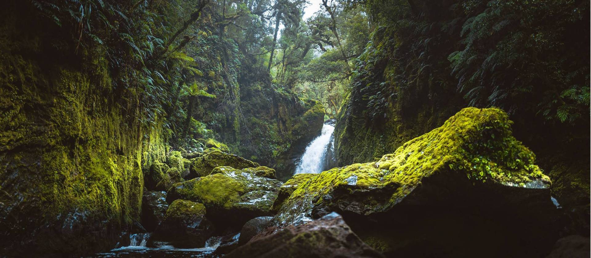The beauty of Fiordland | Neville Porter