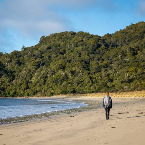 Rakiura Track - Southland, New Zealand - Credit Tourism New Zealand (10)