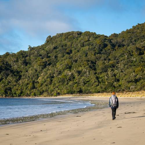 Rakiura Track - Southland, New Zealand - Credit Tourism New Zealand (10)