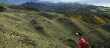 Admiring the rolling farmland hills along the Kaikoura Coast Track | Janet Oldham