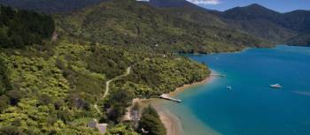 Stunningly located lodges provide comfortable accommodation on the Queen Charlotte Track | Mahana Lodge