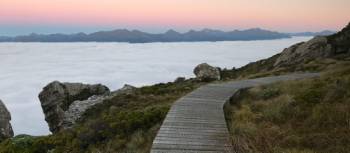 Catch a sunrise from the loop track above Okaka Lodge, Hump Ridge Track | Janet Oldham