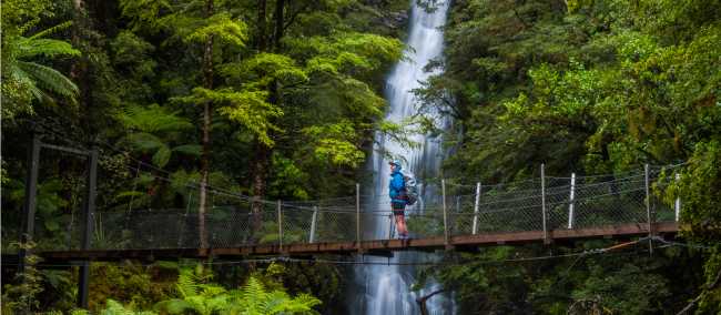 In amongst the stunning forest and wilderness is Little Homer Falls